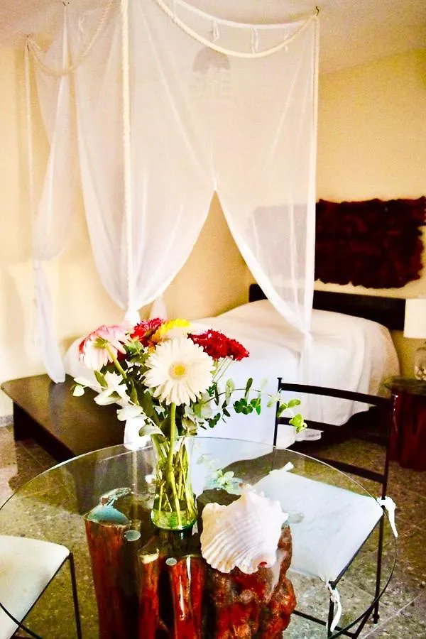 Boutique Hotel Delfin 5Th Avenue Playa del Carmen