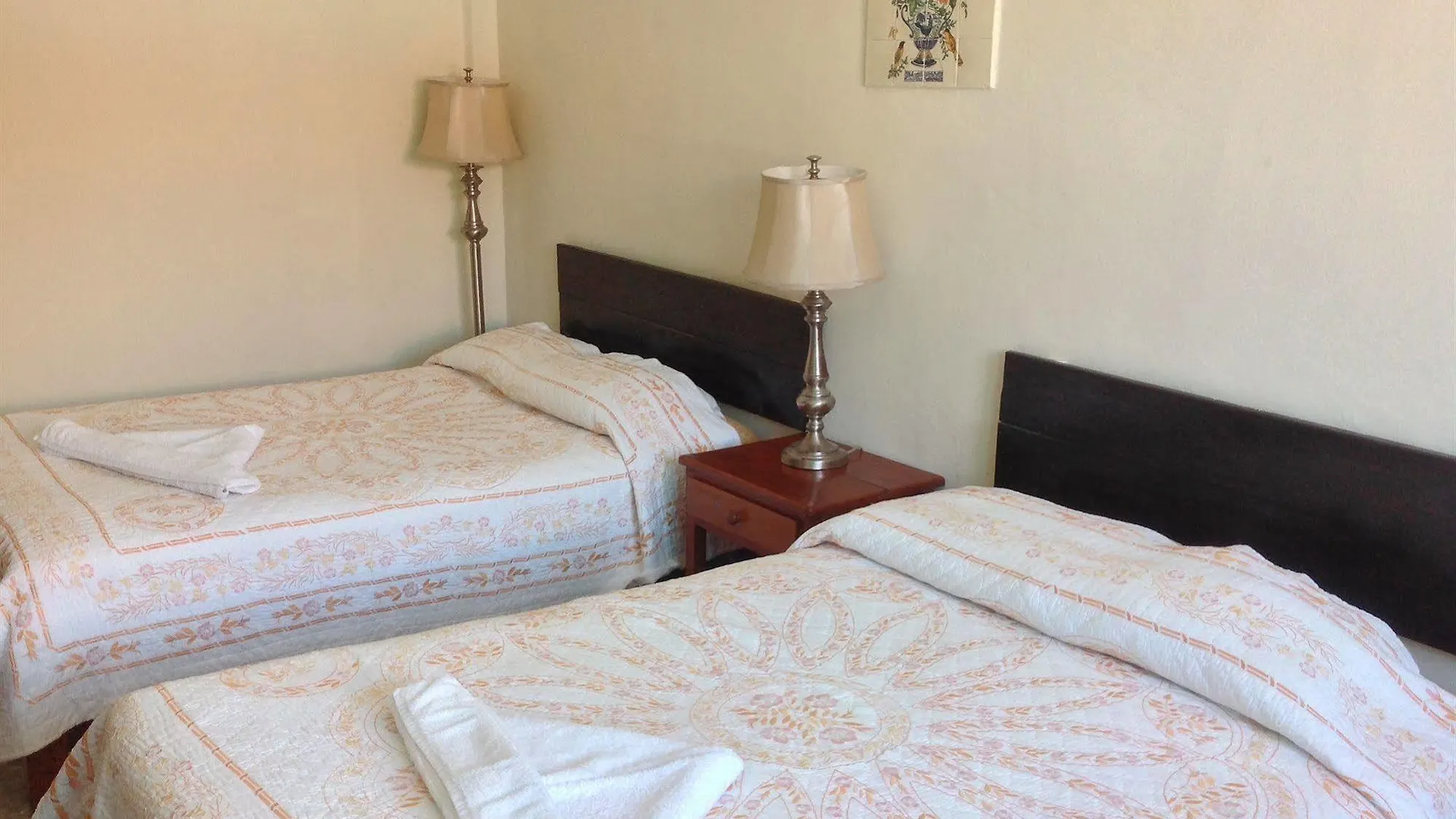 Boutique Hotel Delfin 5Th Avenue Playa del Carmen