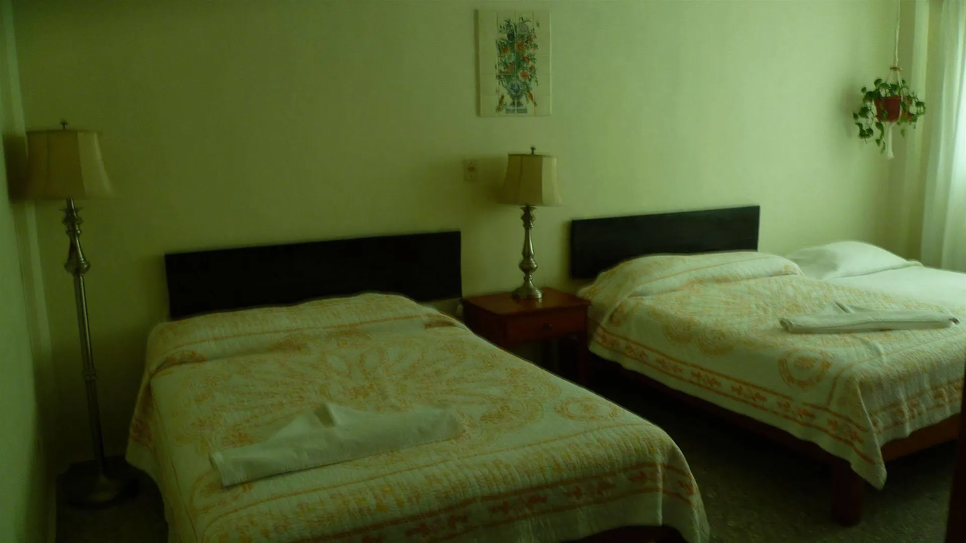 Boutique Hotel Delfin 5Th Avenue Playa del Carmen