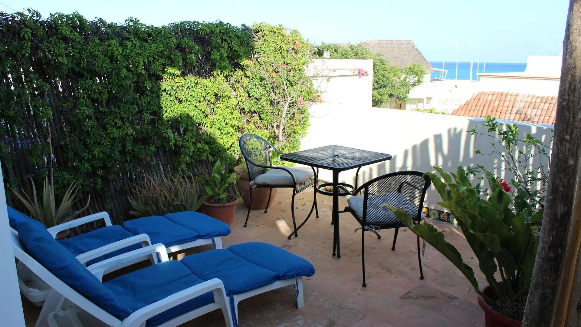 Boutique Hotel Delfin 5Th Avenue Playa del Carmen